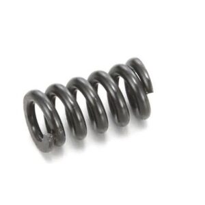 Slipper Spring (ZX-5)  LA207