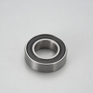 FRONT BALL BEARING S09-090110