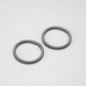 CLUTCH SPRING /2PCS  S09-300131