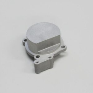 52F BACK PLATE 74251-10