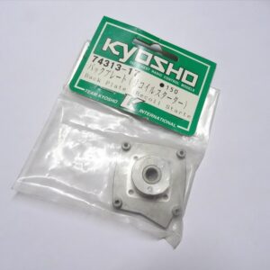 BACK PLATE GT15 74313-17